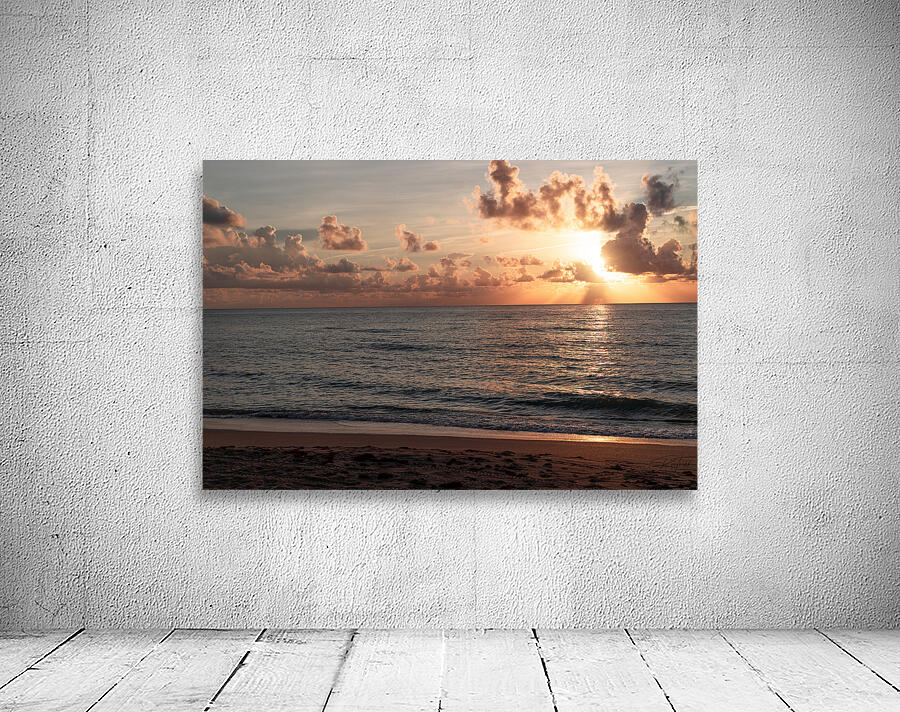 Sun Ray Wall Preview