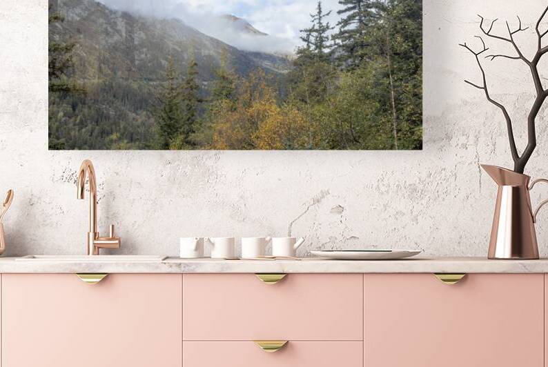 Alaska Landscape by Ron Taibbi fine art Photography 