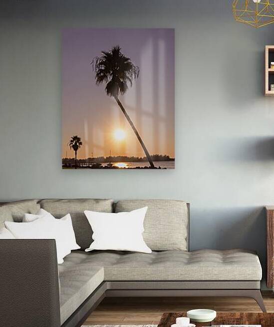 Sunset palms by Ron Taibbi fine art Photography 