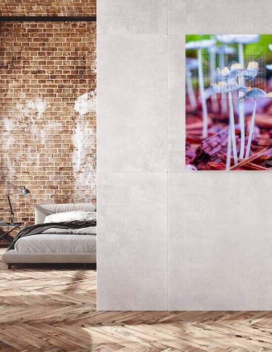 Mushroom tops by Ron Taibbi fine art Photography 