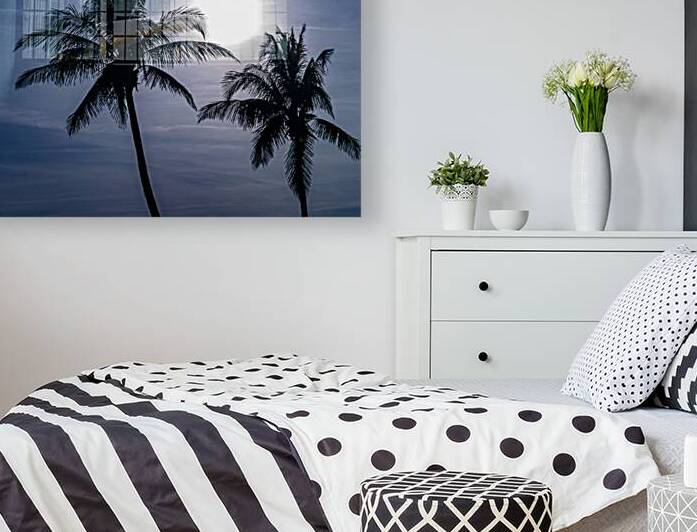 Sillouette Palms by Ron Taibbi fine art Photography 