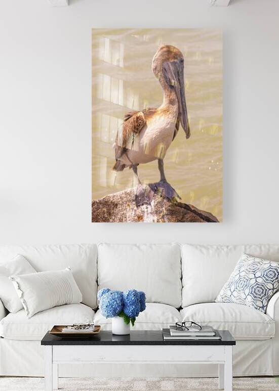 Pelican Day by Ron Taibbi fine art Photography 