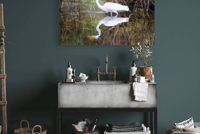 Great Egret  by Ron Taibbi fine art Photography 