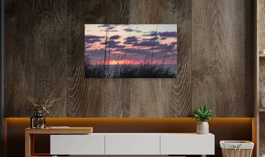 Morning Grass  by Ron Taibbi fine art Photography 