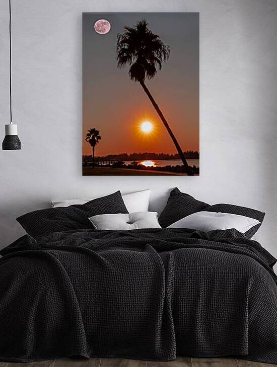 Moon rise  by Ron Taibbi fine art Photography 