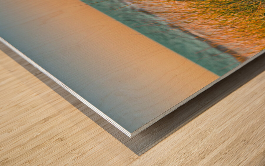 Sunrise Seagrass Wood print